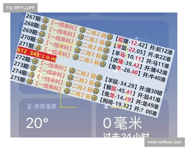 贵州11选5投注技巧与分析策略 探索如何提高中奖概率的有效方法 贵州11选5投注技巧与分析策略 探索如何提高中奖概率的有效方法